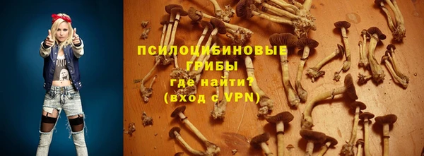 apvp Богданович